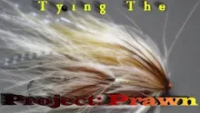 Video thumb for Tying The Project: Prawn