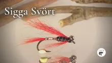Video thumb for Sigga Svört