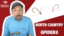 Video thumb for North Country Spiders