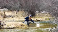 Video thumb for Montana Matt and Tracy Moore fly fishing in Montana