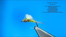 Video thumb for Spring Olive Floating Nymph