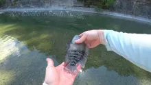 Video thumb for Fishing in 100 degrees