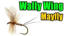 Video thumb for Wally Wing Mayfly