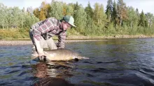 Video thumb for Salmon fishing in River Muonio, Finland/Sweden
