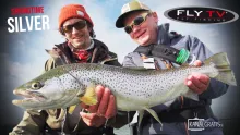 Video thumb for Springtime Silver