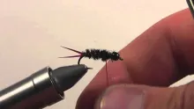 Video thumb for Red Winged Prince Nymph