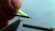 Video thumb for Split Case PMD Nymph