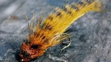 Video thumb for Rabbit Muddler Big Streamer