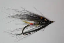 User submitted picture: Hairwing Brora