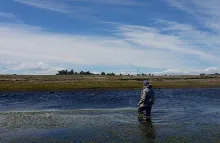 User submitted picture: Taking the nymph...