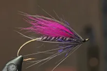 User submitted picture: Steelhead Fly