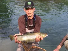 User submitted picture: a nice Marmorata (Marble ...