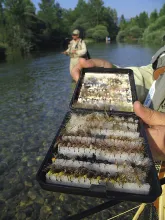 User submitted picture: Selection