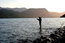 User submitted picture: Early morning in the lake