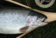 User submitted picture: The first fish captured w...