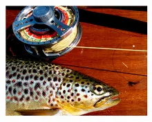 User submitted picture: ...