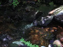 User submitted picture: An August Sanctuary