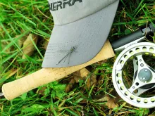 User submitted picture: When the fly catches the ...