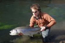 User submitted picture: A fantastic trout of Elsa...