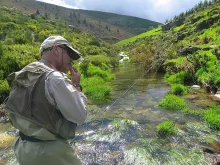 User submitted picture: Looking for de right fly ...