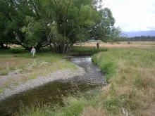 User submitted picture: The very prolific 3lb to ...