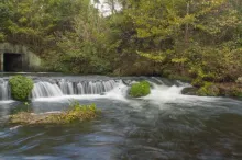 User submitted picture: Dry Run Creek