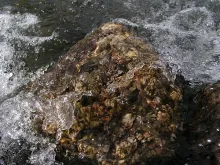 User submitted picture: STREAM