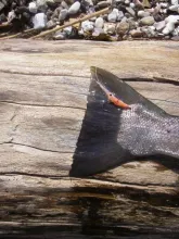 User submitted picture: It works!