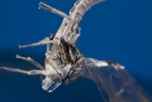 User submitted picture: Parting is such sweet sor...