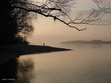 User submitted picture: Man in the fog