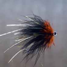 User submitted picture: Punker