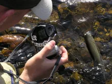 User submitted picture: River Otava