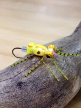 User submitted picture: This fly is built on a mi...