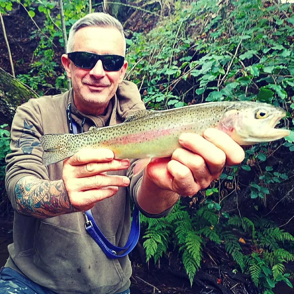 User submitted picture: Own stream