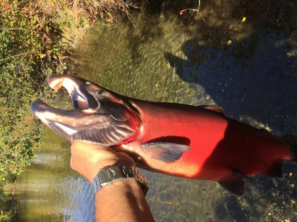 User submitted picture:  Alaska