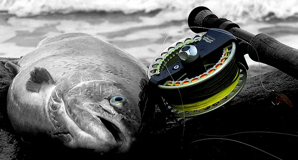 User submitted picture: tried to tune up the rath...