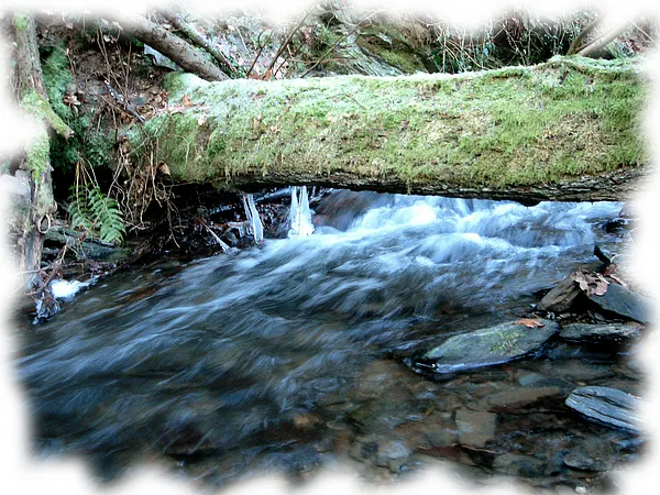 User submitted picture: winter on the creek