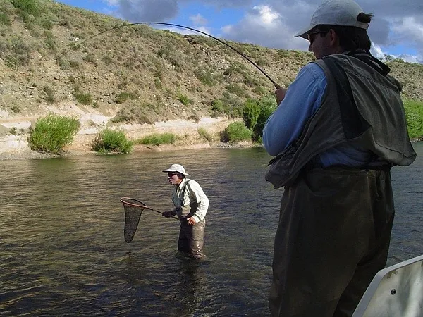 User submitted picture: Paulo plays a huge brown....