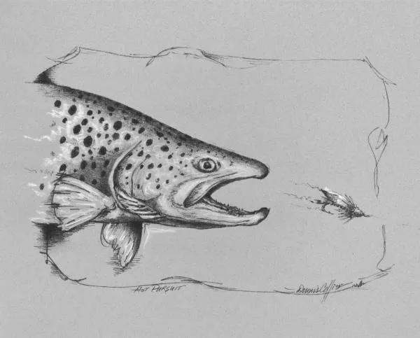 User submitted picture: "Hot Pursuit" captures ...