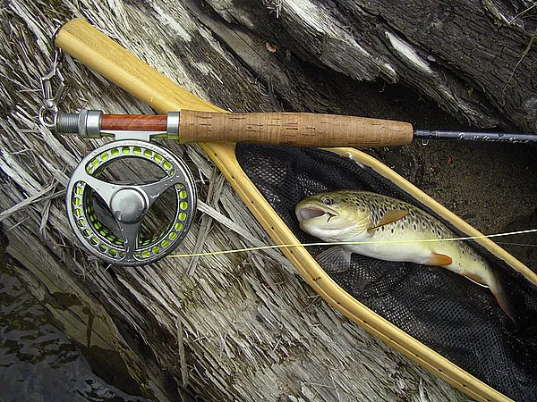 User submitted picture: Still life : lovely wild ...