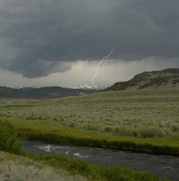 User submitted picture: We had to stop fishing th...