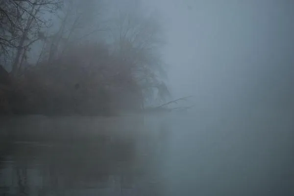 User submitted picture: Fog int the River