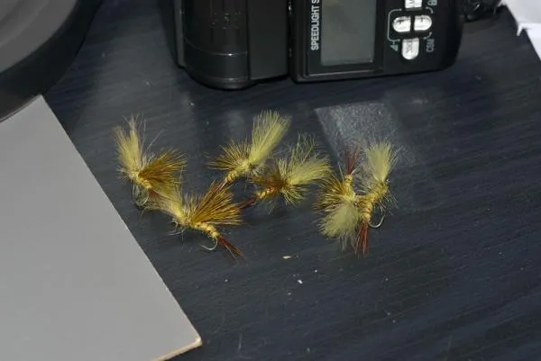 User submitted picture: flies emergers