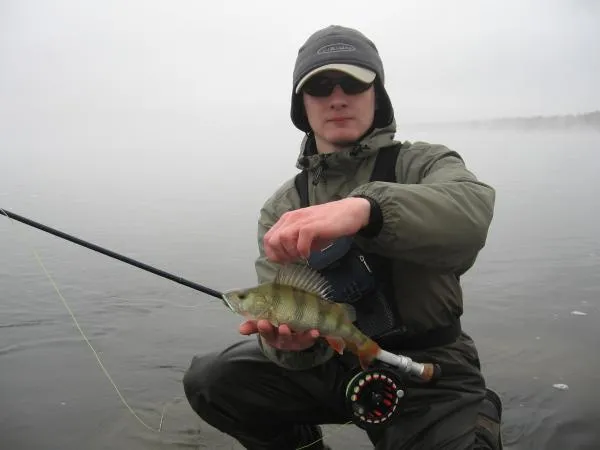 User submitted picture: Winter