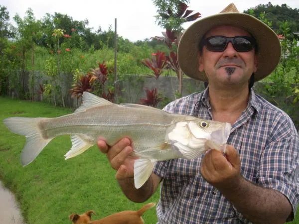 User submitted picture: Secret Lake snook!!!!