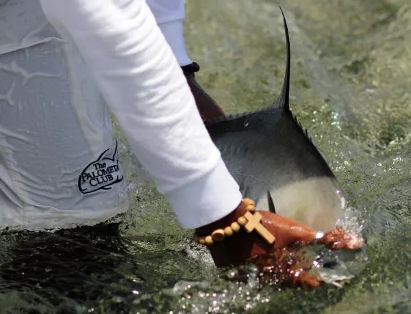 User submitted picture: Permit from Punta Allen t...