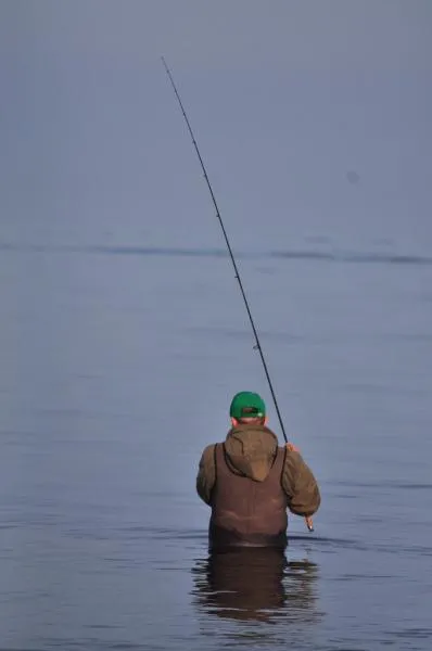 User submitted picture: angler