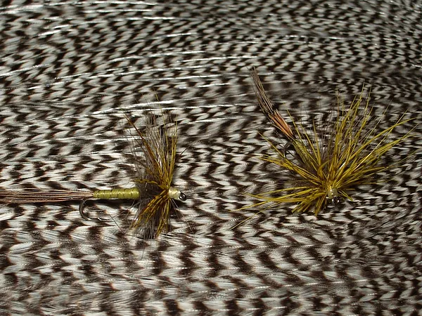 User submitted picture: Danica