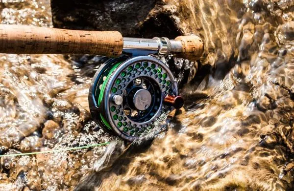 User submitted picture: My best reel