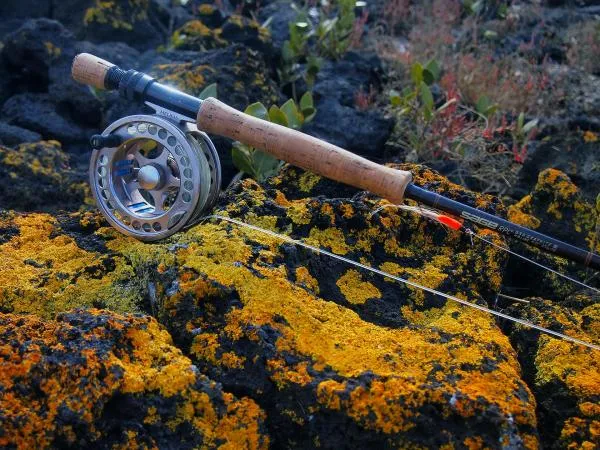 User submitted picture: If you can't catch fish,...